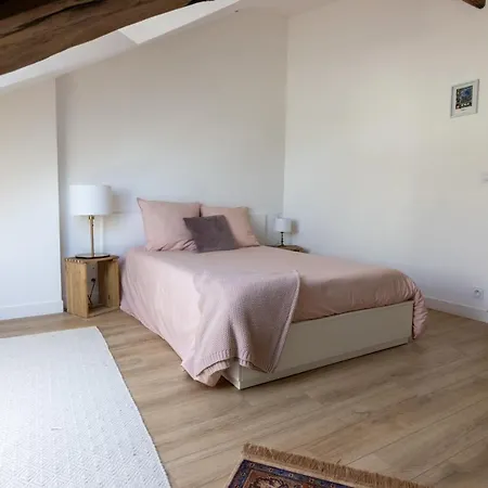 Апартаменты Duplex Centre, Refait A Neuf, A Proximite Du Chateau Сомюр